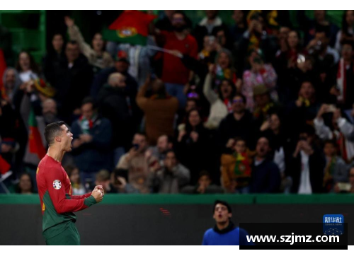 欧洲杯预选赛：葡萄牙的征程