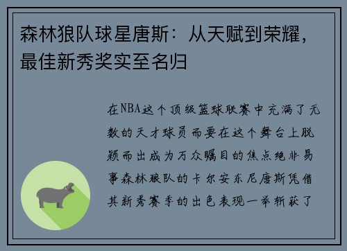 森林狼队球星唐斯：从天赋到荣耀，最佳新秀奖实至名归