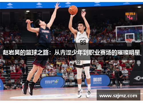 赵岩昊的篮球之路：从青涩少年到职业赛场的璀璨明星