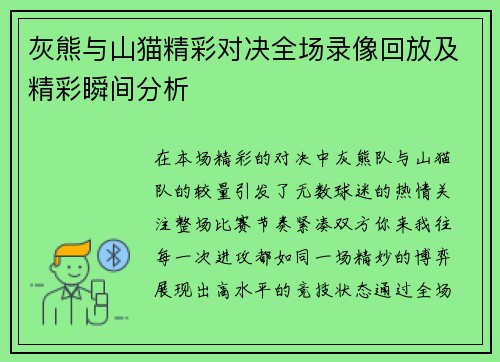 灰熊与山猫精彩对决全场录像回放及精彩瞬间分析